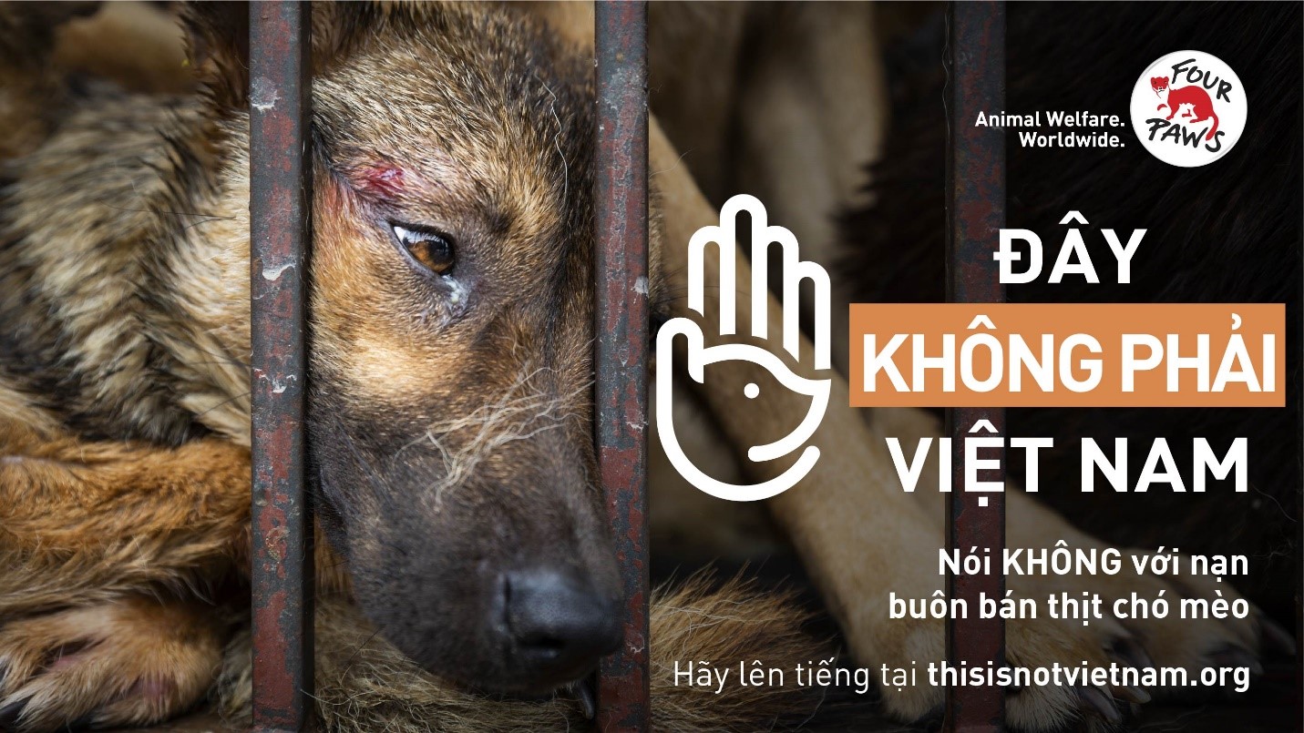 Four Paws phát động chiến dịch kêu gọi người dân Việt Nam thể hiện thái độ phản đối nạn buôn bán thịt chó, mèo