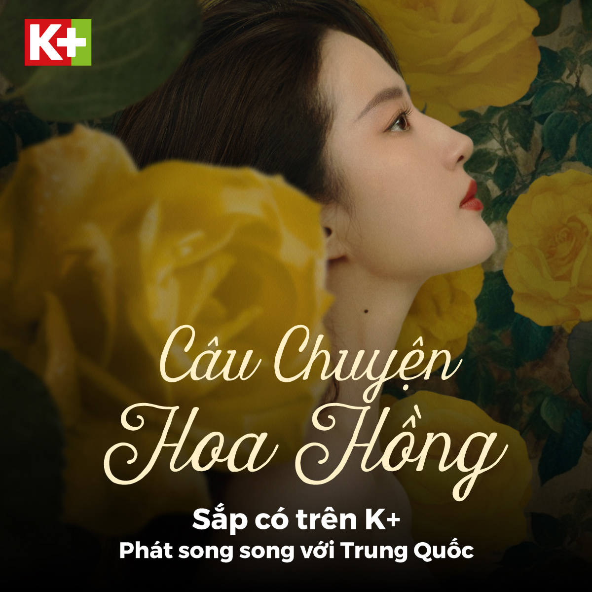 Dàn sao Hoa ngữ tái xuất với 2 bom tấn truyền hình "Câu Chuyện Hoa Hồng", "Thế Giới Võ Hiệp Kim Dung"