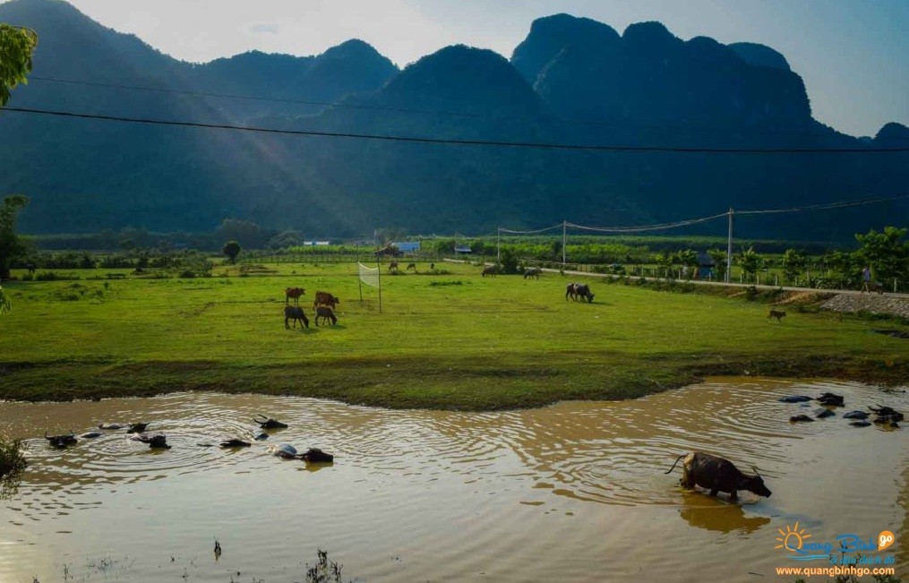 Phong Nha Kẻ Bàng 7 thông tin nên biết
