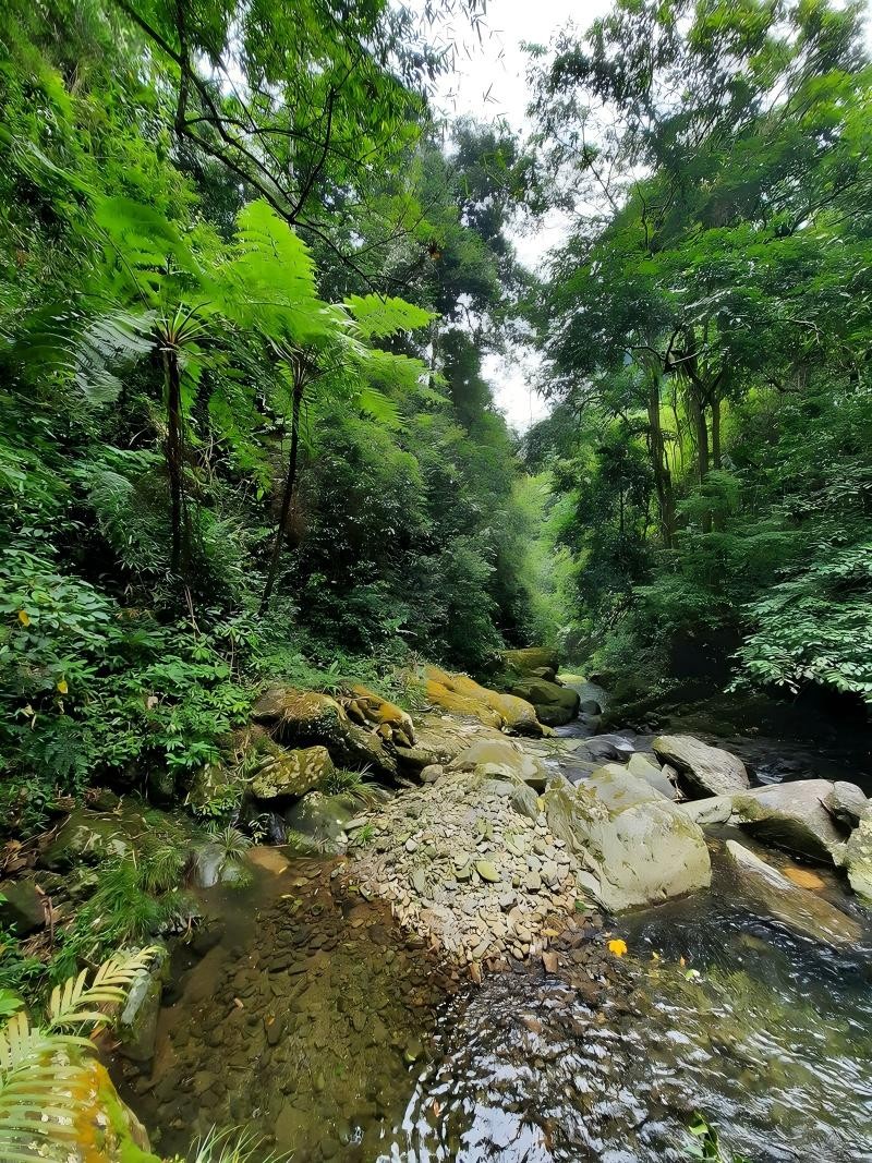 cua-tu-diem-trecking-hut-khach-o-thai-nguyen-dulichvnnet-12-1780549596.jpg
