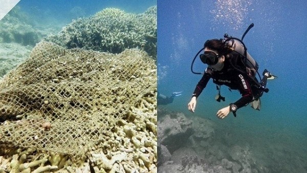 Khánh Hoà tạm dừng du lịch lặn biển để bảo vệ san hô ở Hòn Mun
