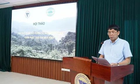 VUSTA: Nâng cao các biện pháp cải tạo rừng, phục hồi rừng tự nhiên góp phần giảm khí nhà kính 