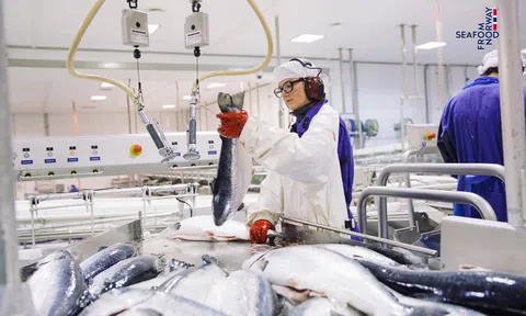 FTA Việt Nam - EFTA mở cơ hội mới cho hải sản Na Uy trên bàn ăn Việt