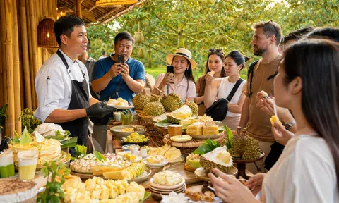 Lễ hội Sầu riêng Đắk Lắk 2026: Từ “vua trái cây” đến hành trình trải nghiệm Tây Nguyên