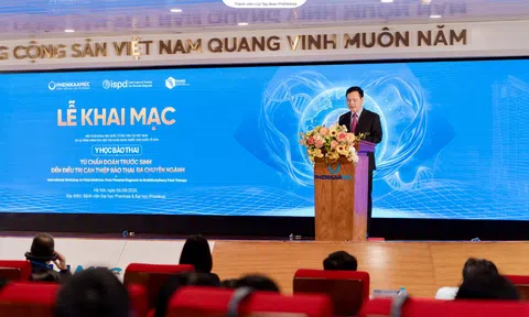 Chuyên gia quốc tế hội tụ tại Bệnh viện Đại học Phenikaa bàn về y học bào thai