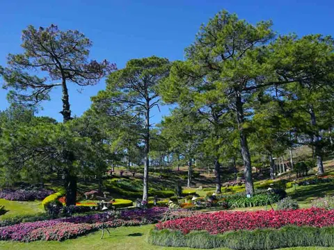 "Đà Lạt tổ chức thi tìm kiếm Tượng Nữ thần Tình yêu”