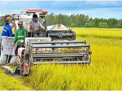 Giải pháp giúp nâng cao hiệu quả chuỗi giá trị nông nghiệp 