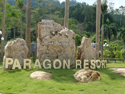 Trải nghiệm 'tắm rừng' theo trends du lịch 'sạch' ở Hà Nội