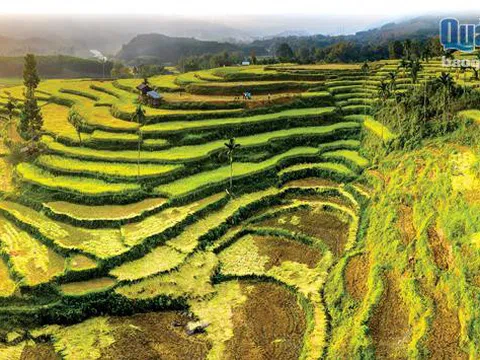 UBND huyện Sơn Hà,Quảng Ngãi tuyển dụng giáo viên các cấp năm 2021 như sau: