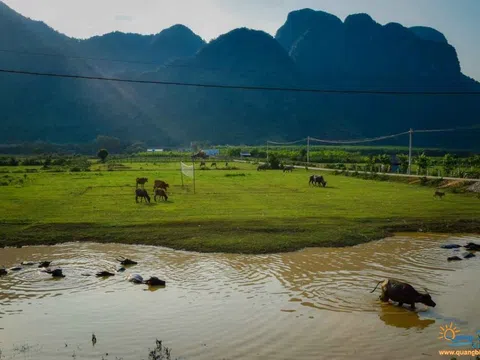 Phong Nha Kẻ Bàng 7 thông tin nên biết