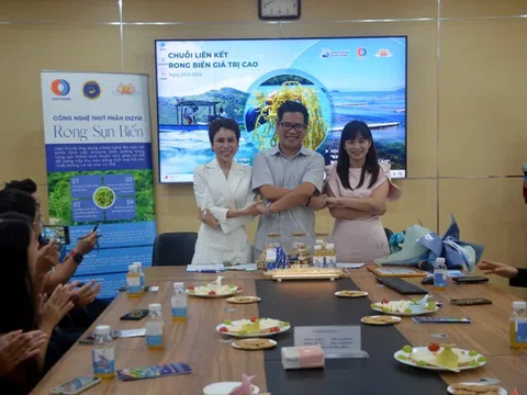 Xây dựng chuỗi liên kết để khai thác hiệu quả kinh tế từ rong biển