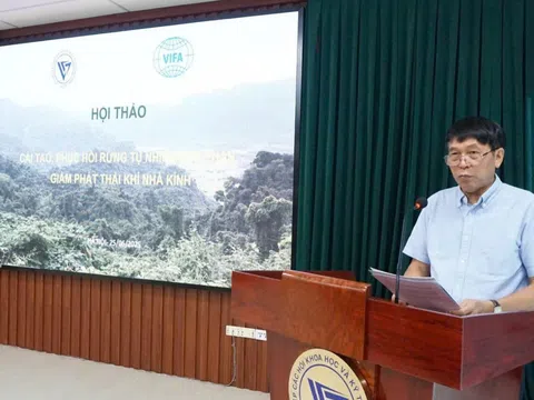 VUSTA: Nâng cao các biện pháp cải tạo rừng, phục hồi rừng tự nhiên góp phần giảm khí nhà kính