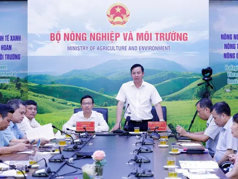 Tăng cường phân quyền, phân cấp trong lĩnh vực trồng trọt và bảo vệ thực vật