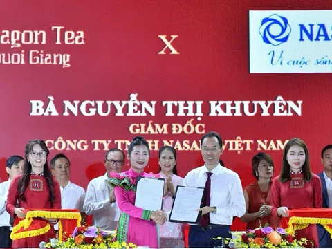 Ra mắt thương hiệu Dragon Tea Suối Giàng: Nâng tầm giá trị trà Shan tuyết cổ thụ