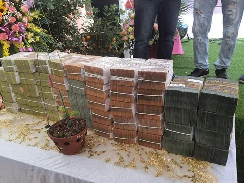Công an, thuế vào cuộc xác minh vụ bán lan đột biến 250 tỉ đồng