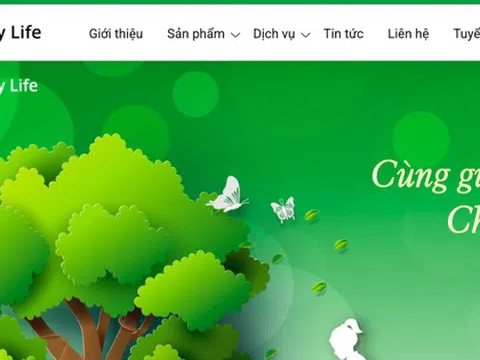 Công bố kết luận thanh tra 2 doanh nghiệp bán bảo hiểm nhân thọ qua ngân hàng: Bảo hiểm nhân thọ Mirae Asset Prévoir và Bảo hiểm nhân thọ Cathay Việt Nam