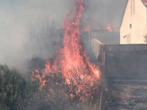 Khu du lịch ở Hy Lạp sơ tán khách vì cháy rừng