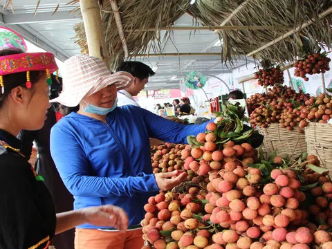 Sản phẩm đầu tiên của Việt Nam được bảo hộ chỉ dẫn địa lý tại Nhật
