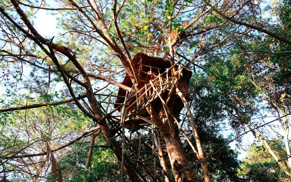 Booking.com gợi ý du khách trải nghiệm 5 ngôi nhà cây ‘độc nhất vô nhị’ ở Việt Nam