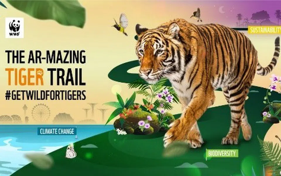 WWF-Singapore ra mắt cung đường AR-mazing Tiger Trail 